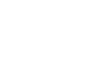 Footer logo 6