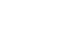 Footer logo 3