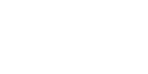 Footer logo 7