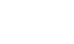 Footer logo 1