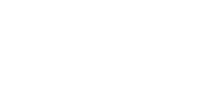 Footer logo 4